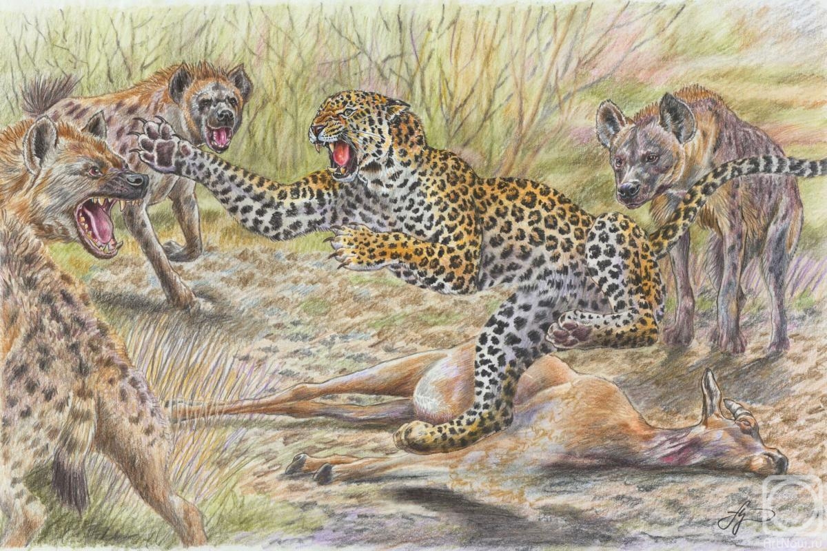 Shkurko Anton. Leopard and hyenas