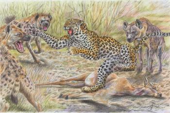 Leopard and hyenas