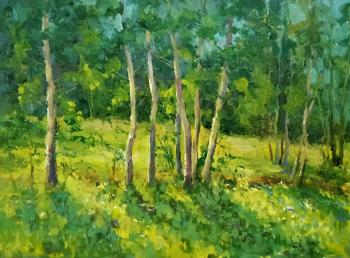 Birches (Landscapes Oil). Aleksandrov Aleksandr