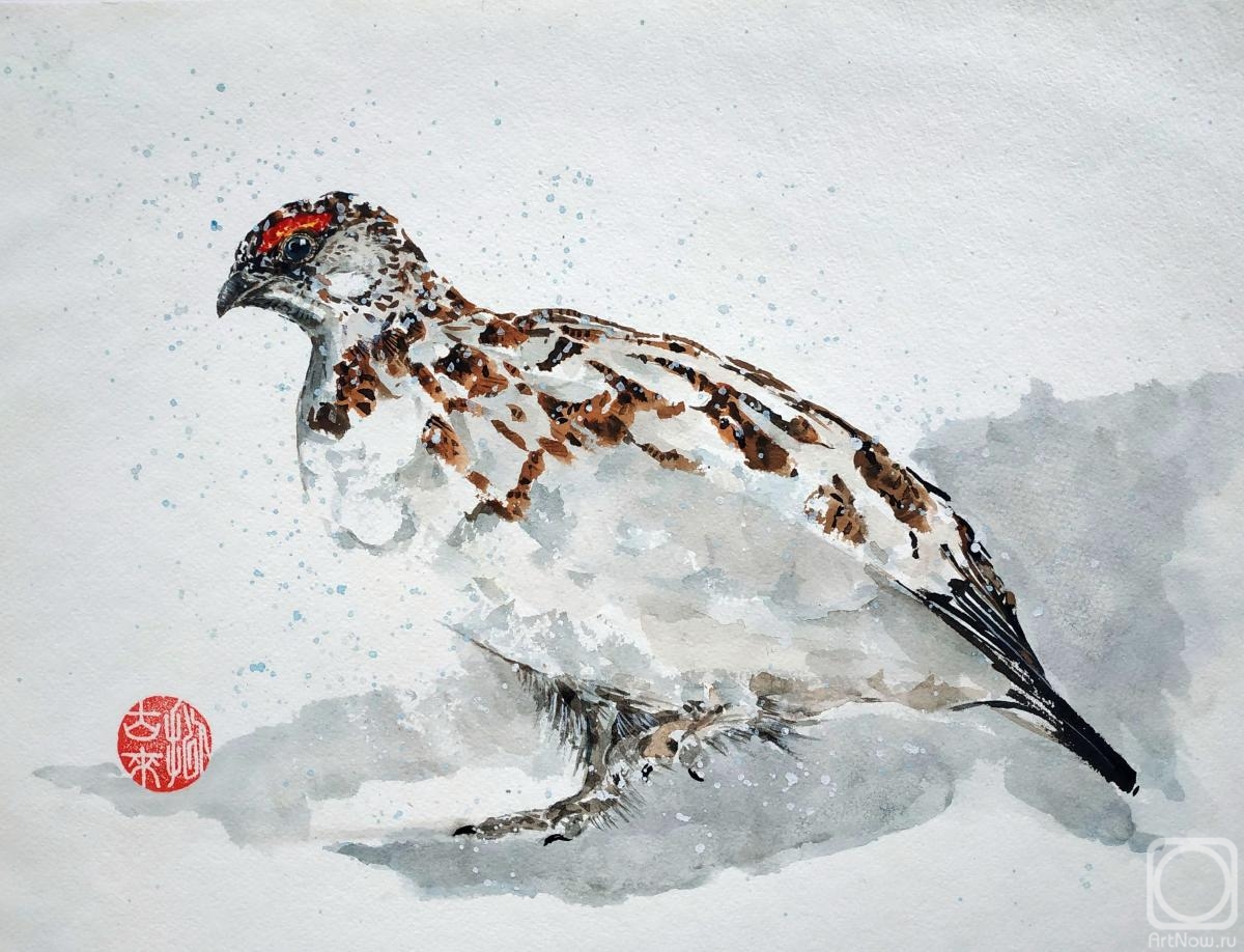 Mishukov Nikolay. Tundra partridge Lagopus Lagopus