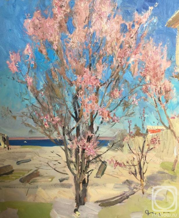 Dudchenko Nikolay. Blossoming almond trees in Hersonissos