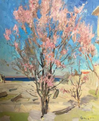 Blossoming almond trees in Hersonissos. Dudchenko Nikolay