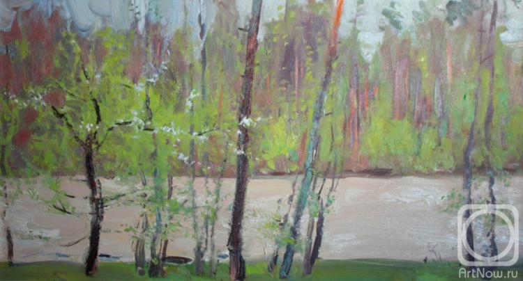 Dudchenko Nikolay. Spring on the Zelenchuk River