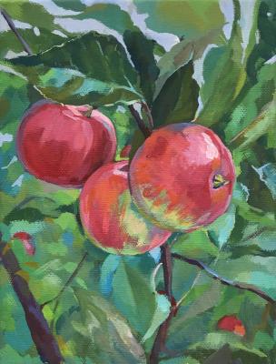 Red apples. Denisova Lyubov