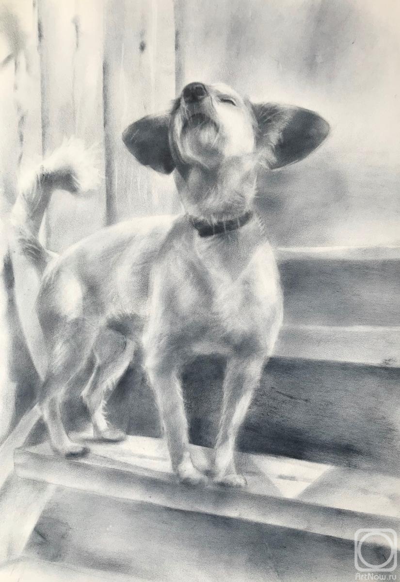 �������. �������� ������. ����� ������� ����