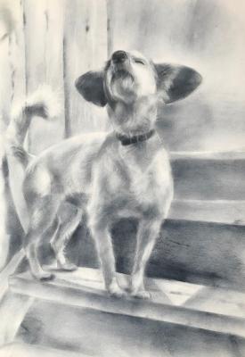 ����� ������� ����. �������� ������