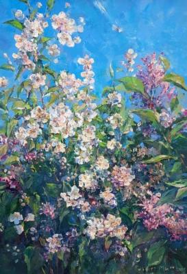 In the aromas of blooming jasmine (Jasmine Bushes). Mif Robert