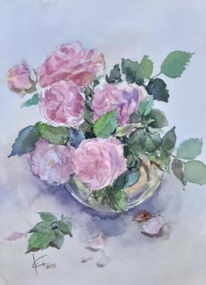 ������� �������� ����