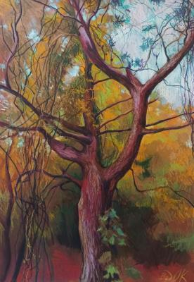 Old tree (Realistic Oil Landscape). Vedernikova Oksana