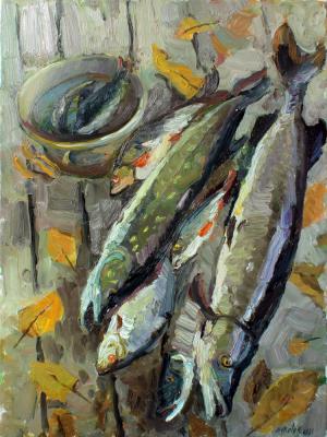 Fresh catch (Perch Fish). Zhukova Juliya