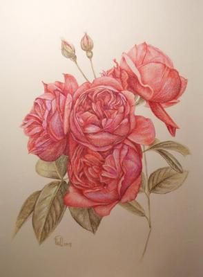 Red romantic roses (Romantic Picture). Kabylina Darya