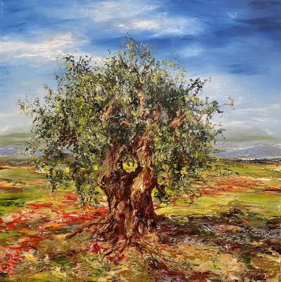 Olive Tree (Le Paysage). Malivani Diana