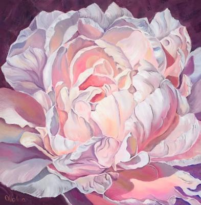 Pink Prony. Volna Olga