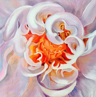 White Pink Peony. Volna Olga