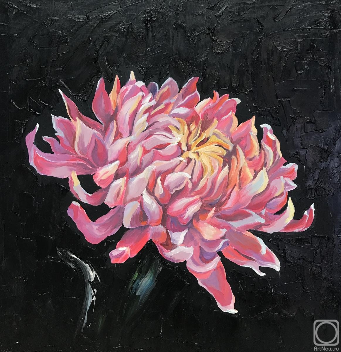 ������� ������ �� ������. ������ �����. ����������