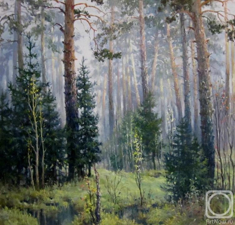 Svinin Andrey. Rainy morning in the forest