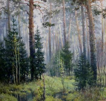 Rainy morning in the forest. Svinin Andrey