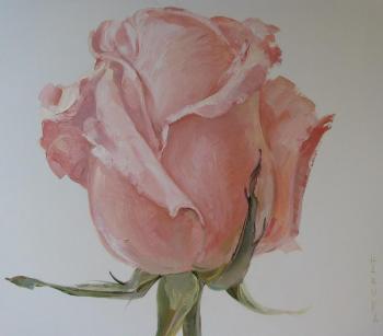 "I am a rose". Pink. Proshunina Nina