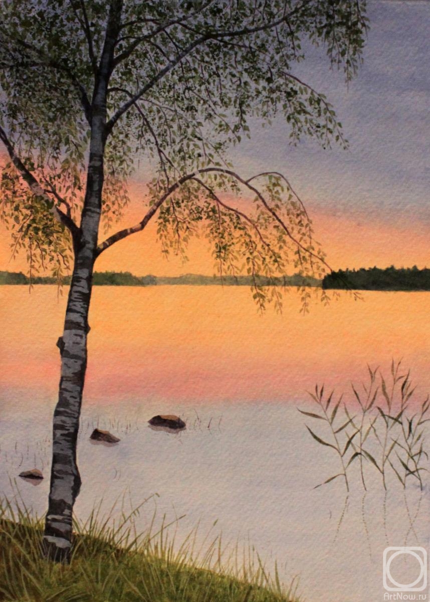 Shirokova Ekaterina. Evening