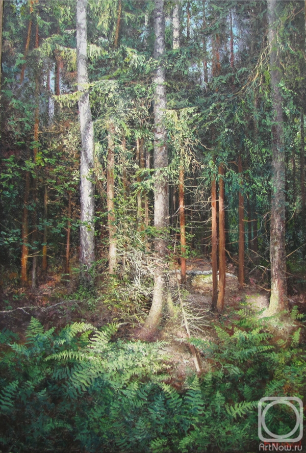 Burmakin Evgeniy. In the pine forest