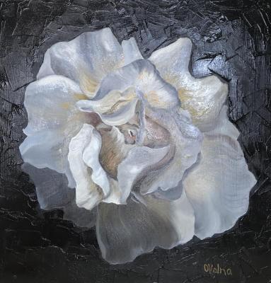 White Rose. Volna Olga