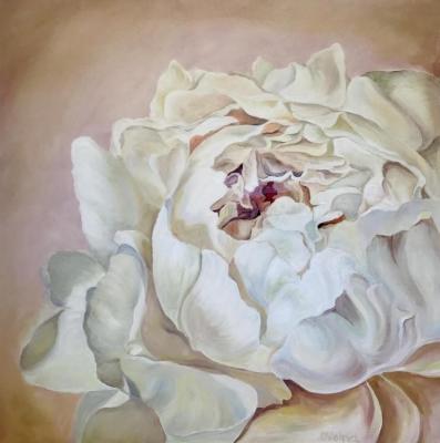 Soft Peony (Brushstroke Painting Flowers). Volna Olga