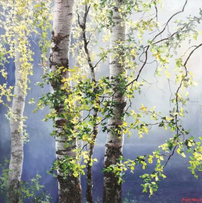 Birches in the sun. Burmakin Evgeniy