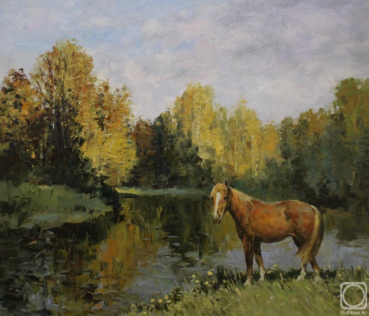 Malykh Evgeny. Autumn