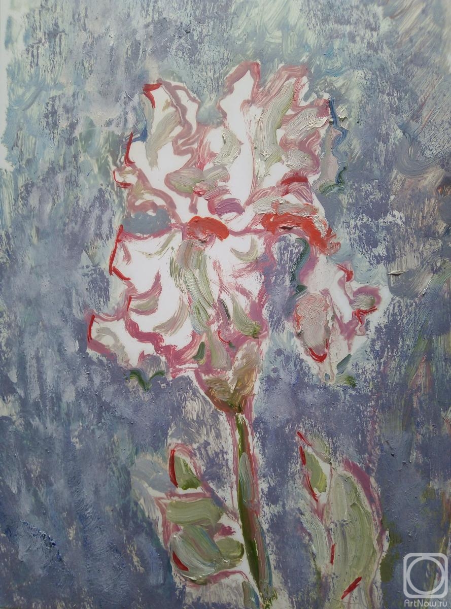 �������. ����� ������. ���� ������� ����