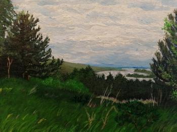 View of the Volga from Vinnovskaya grove. Arzamastseva Irina