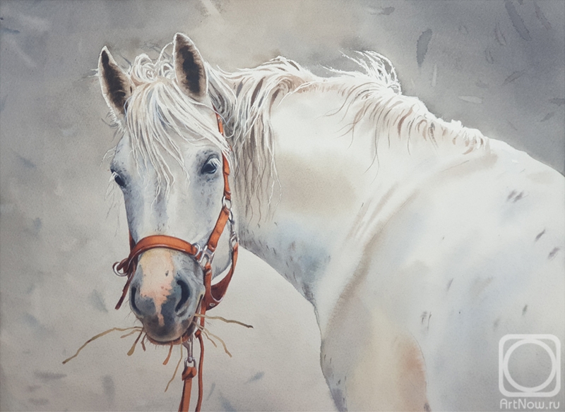 Shundeeva Tatiana. White horse
