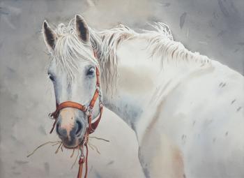 White horse. Shundeeva Tatiana