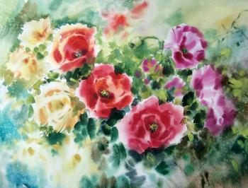 Poppies (Painting Watercolors). Aleksandrov Aleksandr