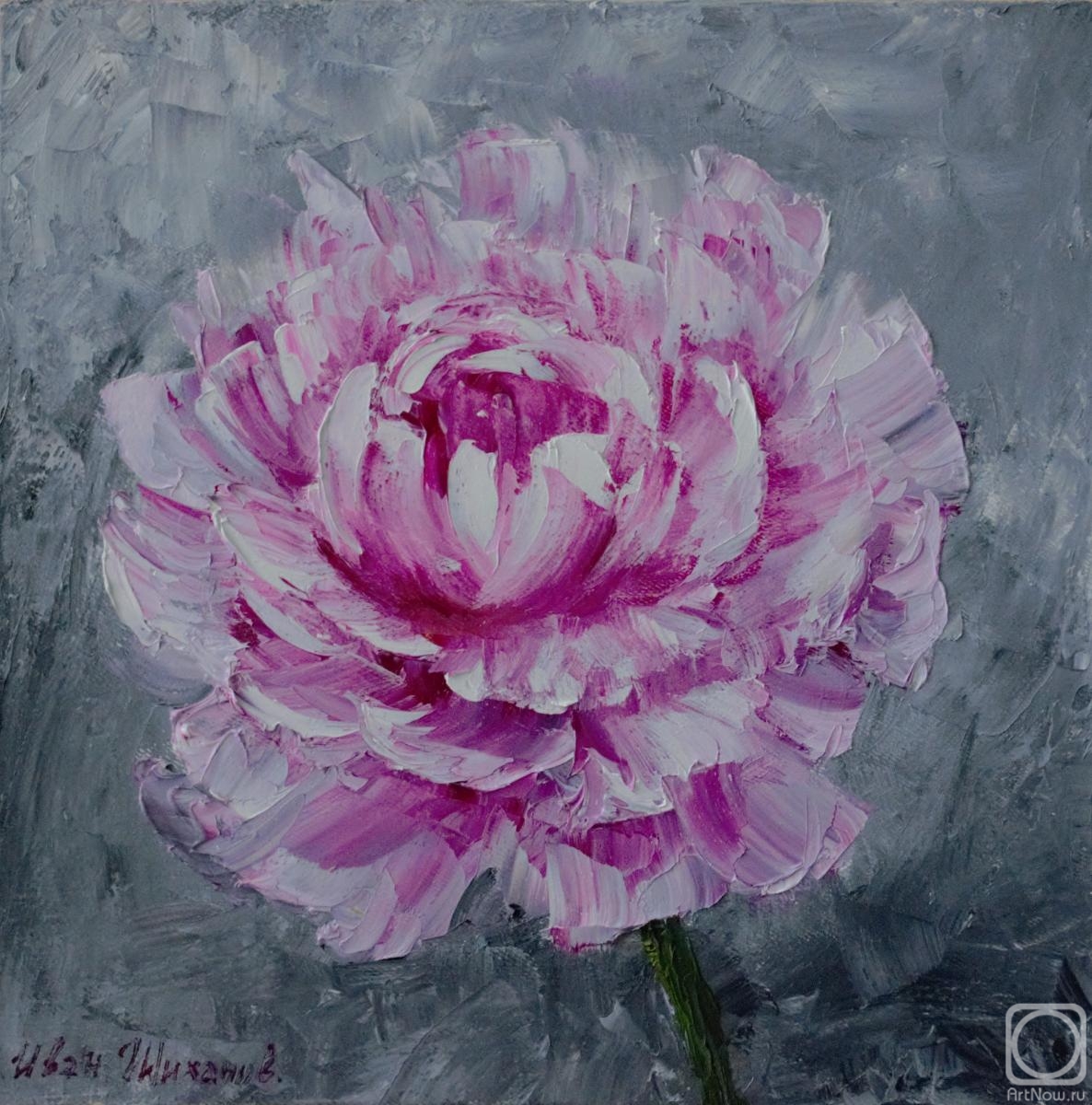 ������� ������ �� ������. ������� ����. ���� �� ����� ����