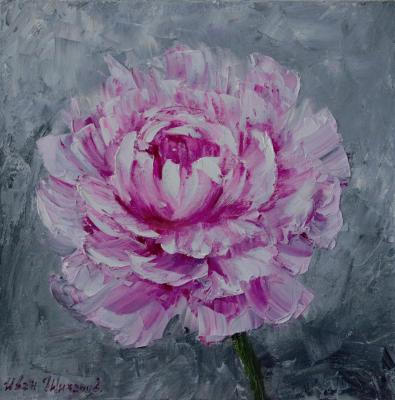 ���� �� ����� ����. ������� ����