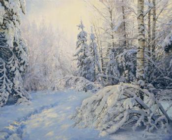 Frost and sun. Aleksandrov Vladimir