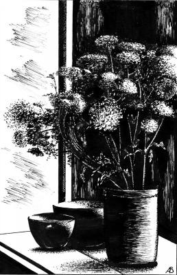 ������� �����������