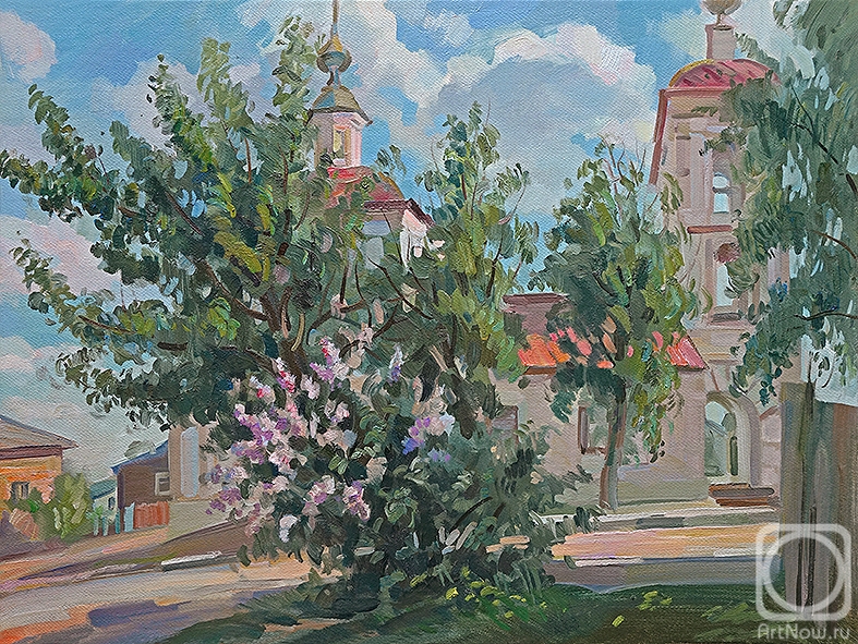 Zhlabovich Anatoly. Spring silhouette