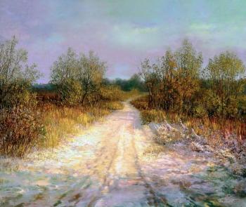 Sunny path. Panin Sergey