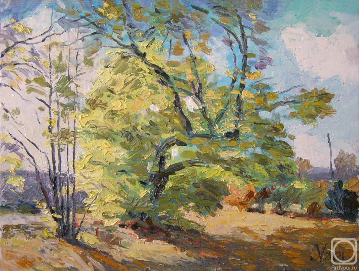 ������� ������ �� ������. ������� �������. ��������� ����