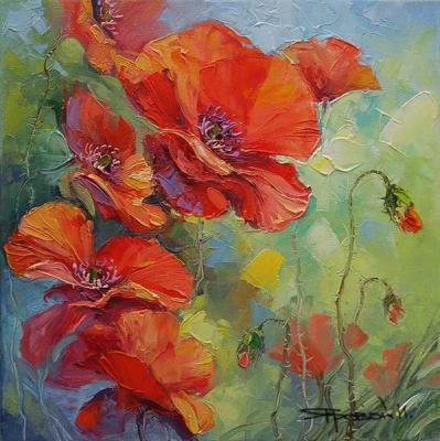 Meadow poppies (Buy An Oil Painting With Poppies). Iarovoi Igor