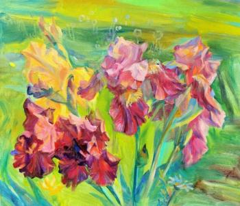 ������� ������ �� ������