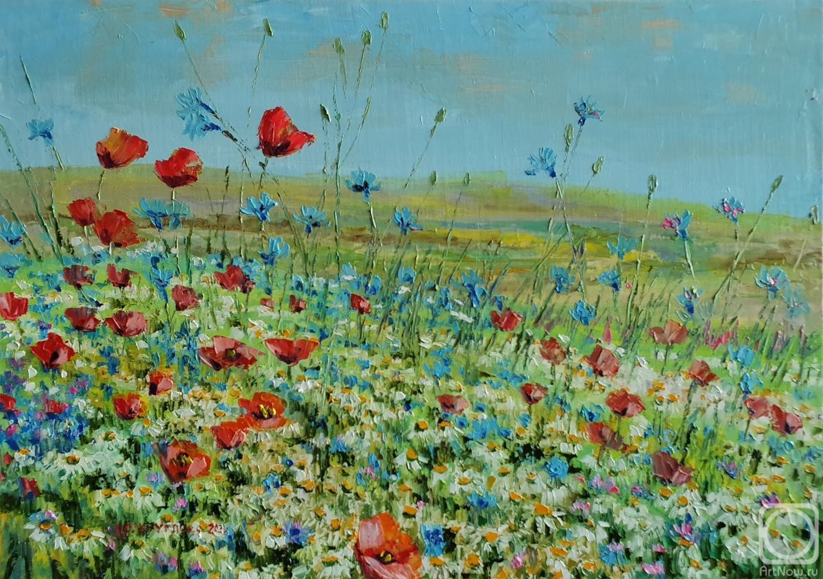Kruglova Svetlana. Cornflower fields
