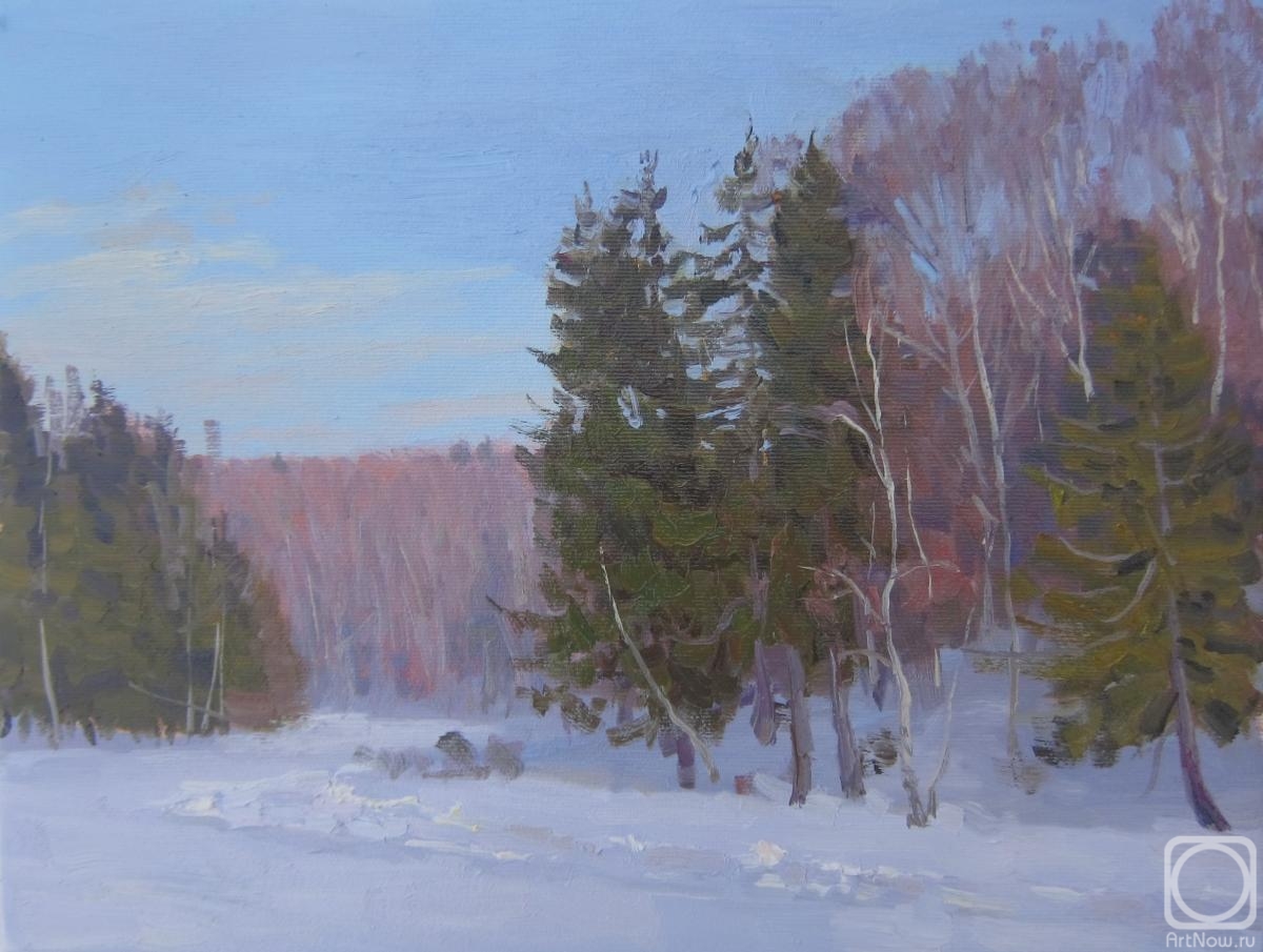 Chertov Sergey. A winter day at Forest Lake (etude)