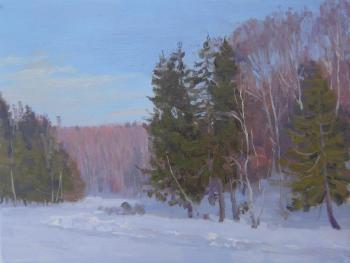 A winter day at Forest Lake (etude). Chertov Sergey