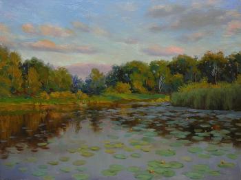 By the duct in the evening. Kosterin Sergey