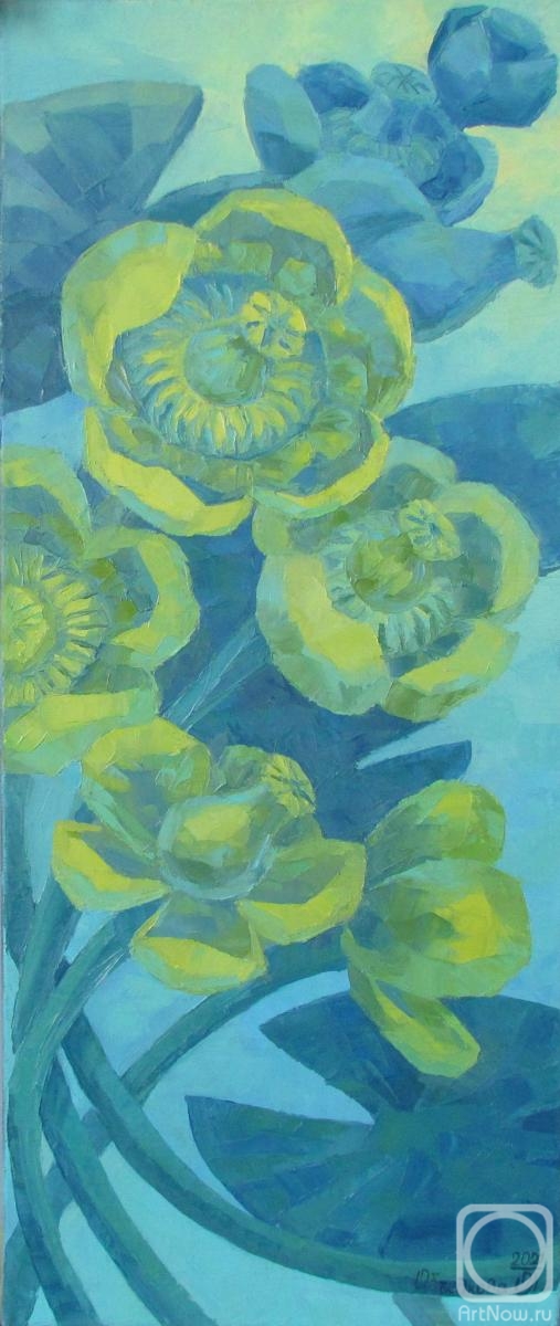 Ob Olga. Yellow water lilies