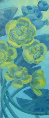 Yellow water lilies. Ob Olga