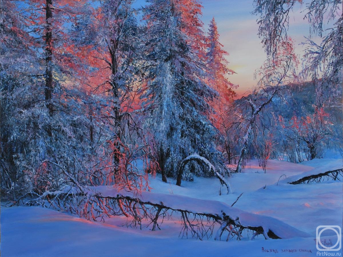 Vokhmin Ivan. Sunrise of the winter Sun