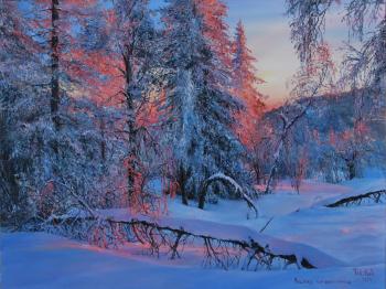 Sunrise of the winter Sun. Vokhmin Ivan